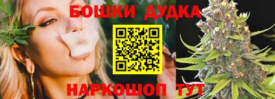 сатива Гатчина