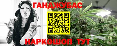 сатива Гатчина