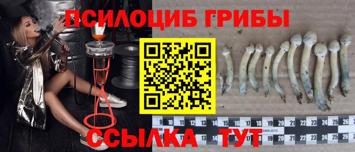 Псилоцибиновые грибы MAGIC MUSHROOMS Лянтор